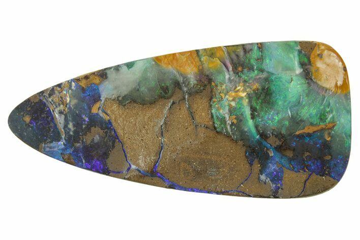 Colorful Polished Boulder Opal Specimen - Queensland, Australia #381740
